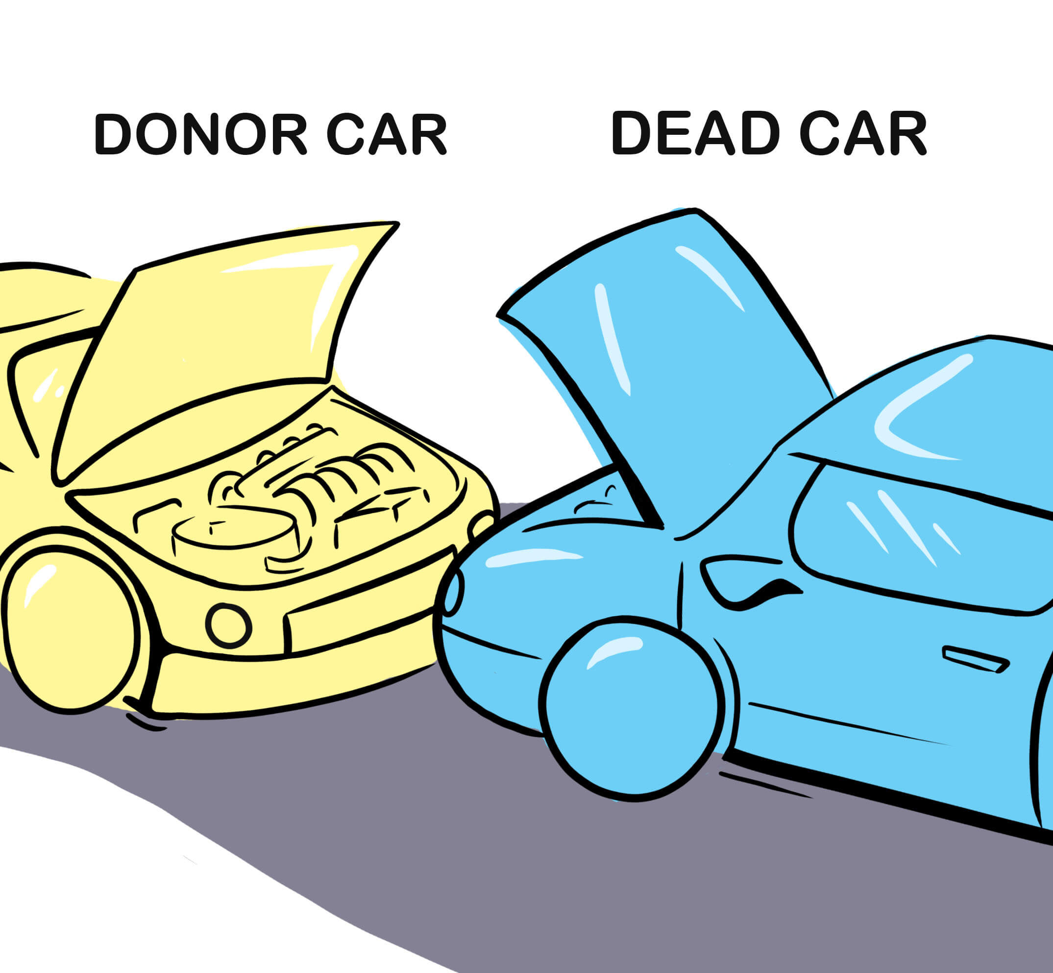 STEP2 - How to Jump Start a Car