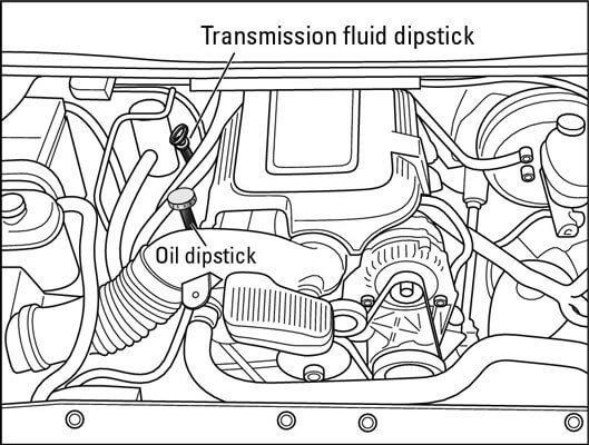 Left Tran - Transmission Fluid