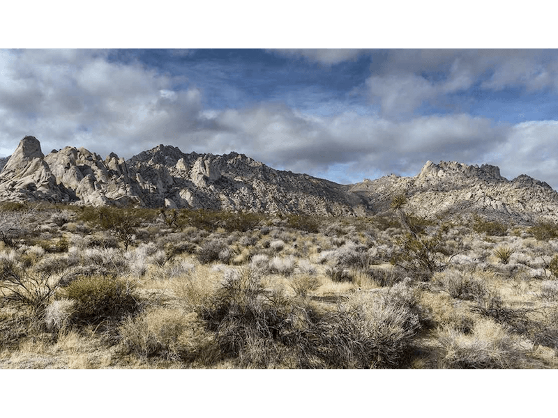 Mojave National Preserves Visitor Center - Route 66 Planner - Plan the Perfect Roadtrip