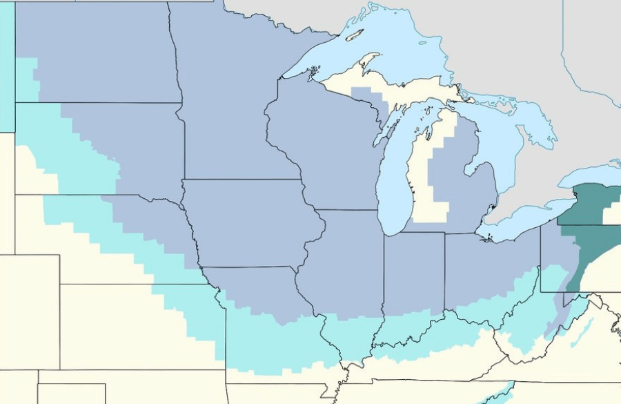 Winter Storm Jaden 1 - How Do Electric Cars Perform in the Cold Weather?