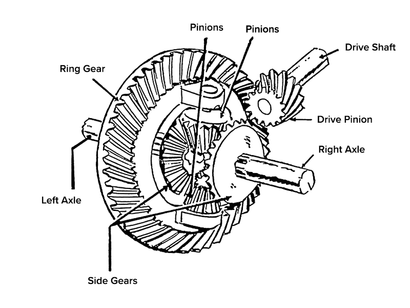 Differential Diagram