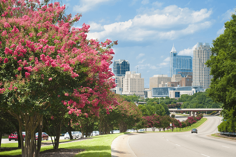 raleigh nc - The Best and Worst U.S. Cities to Drive In